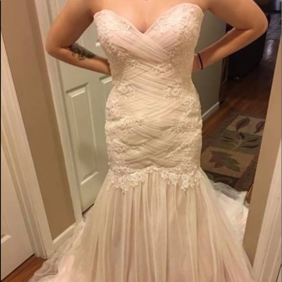 Maggie Sottero Wedding Dress - Picture 6 of 6